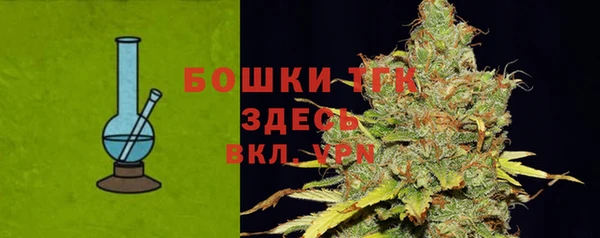 прущая мука Арсеньев