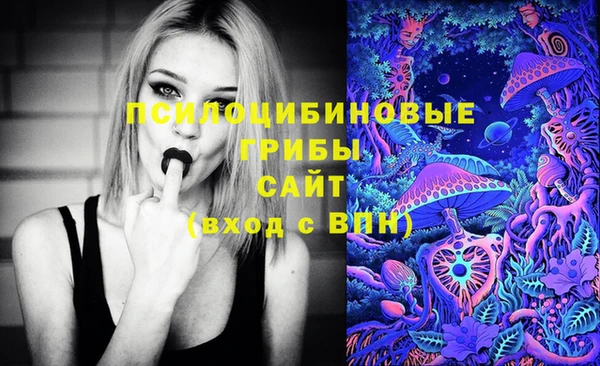 прущая мука Арсеньев